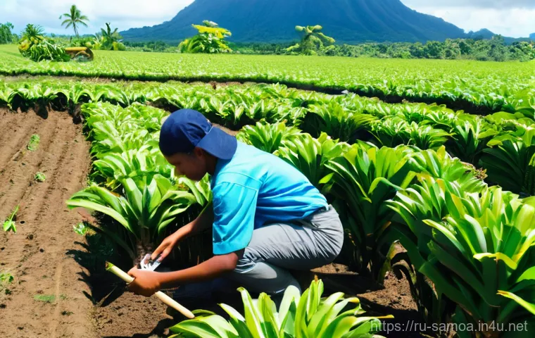 사모아 유학 생활 및 교육 제도 - A group of diverse university students, both local Samoan and international, are cheerfully engaged ...