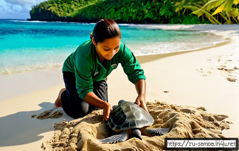 사모아의 바다 거북 보호 프로젝트 - Photorealistic sea turtle conservation project on a pristine Samoan beach at sunrise, local Pacific ...